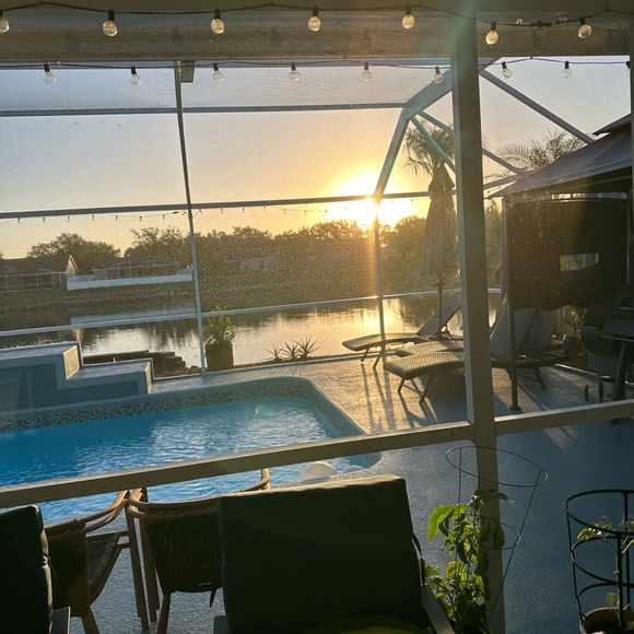 Peace - Picture 5 of 16